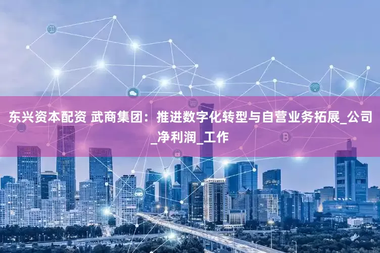 东兴资本配资 武商集团：推进数字化转型与自营业务拓展_公司_净利润_工作