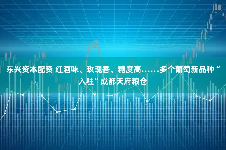 东兴资本配资 红酒味、玫瑰香、糖度高……多个葡萄新品种“入驻”成都天府粮仓