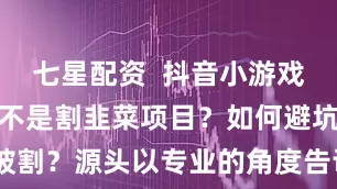 七星配资  抖音小游戏广告项目是不是割韭菜项目？如何避坑不被割？源头以专业的角度告诉你_运营_yi_ge